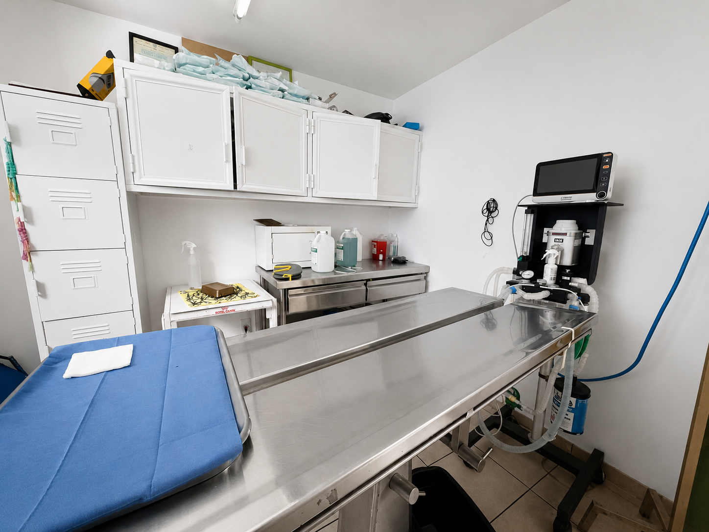 Área de consulta CardioPet Guadalajara