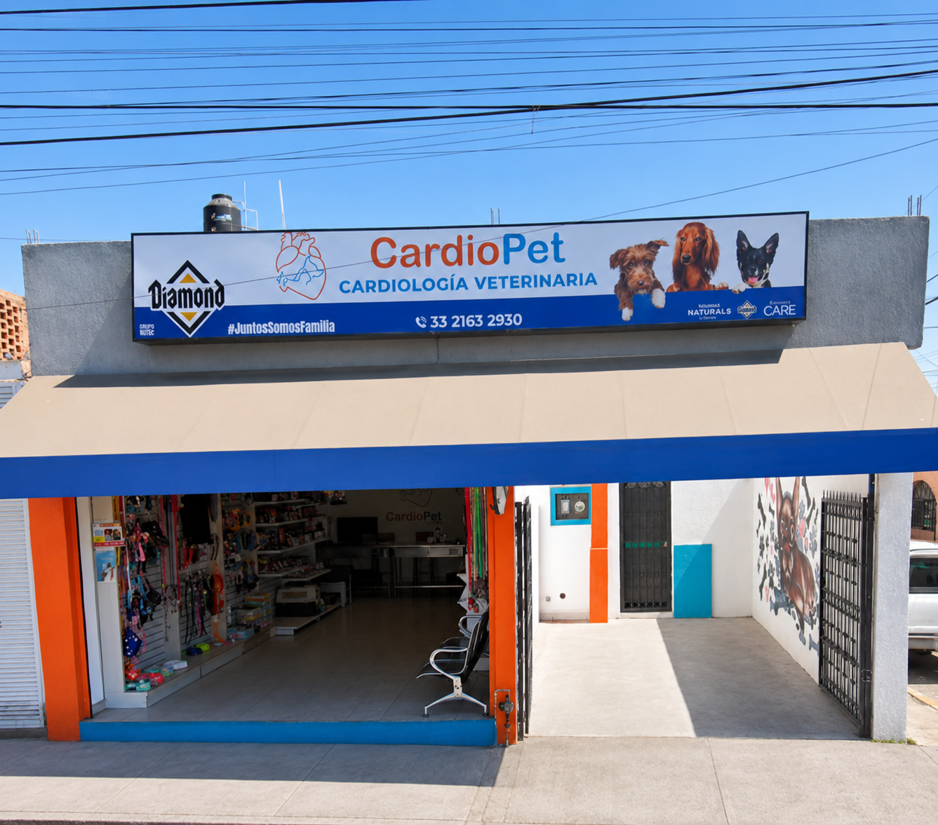 Recepción CardioPet Guadalajara